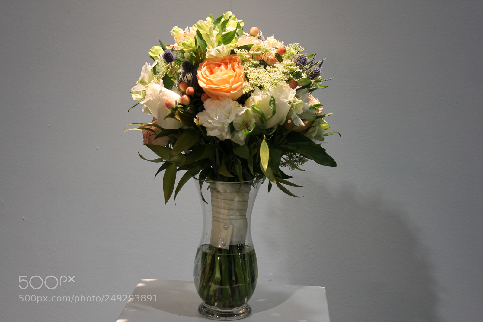 Canon EF-S 18-55mm F3.5-5.6 IS sample photo. Canada blooms 2018 toronto photography