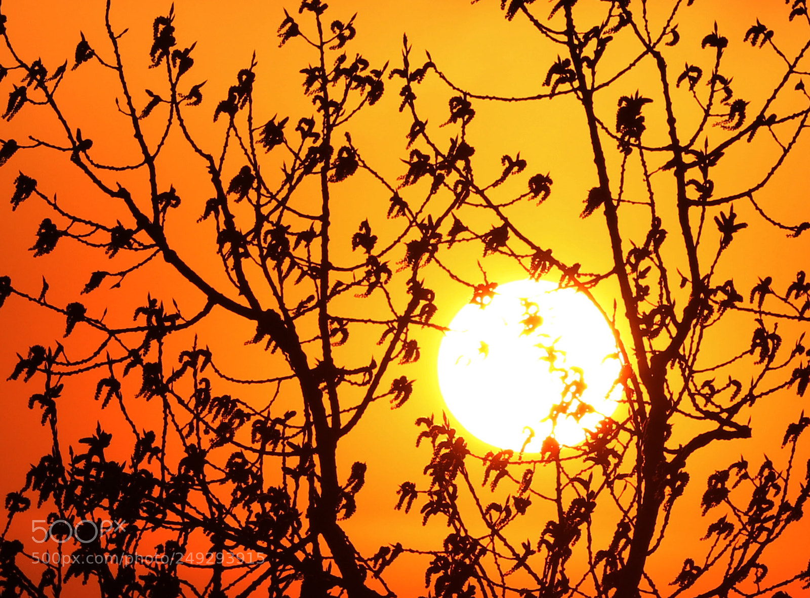 Canon EOS 7D Mark II sample photo. Sunset photography