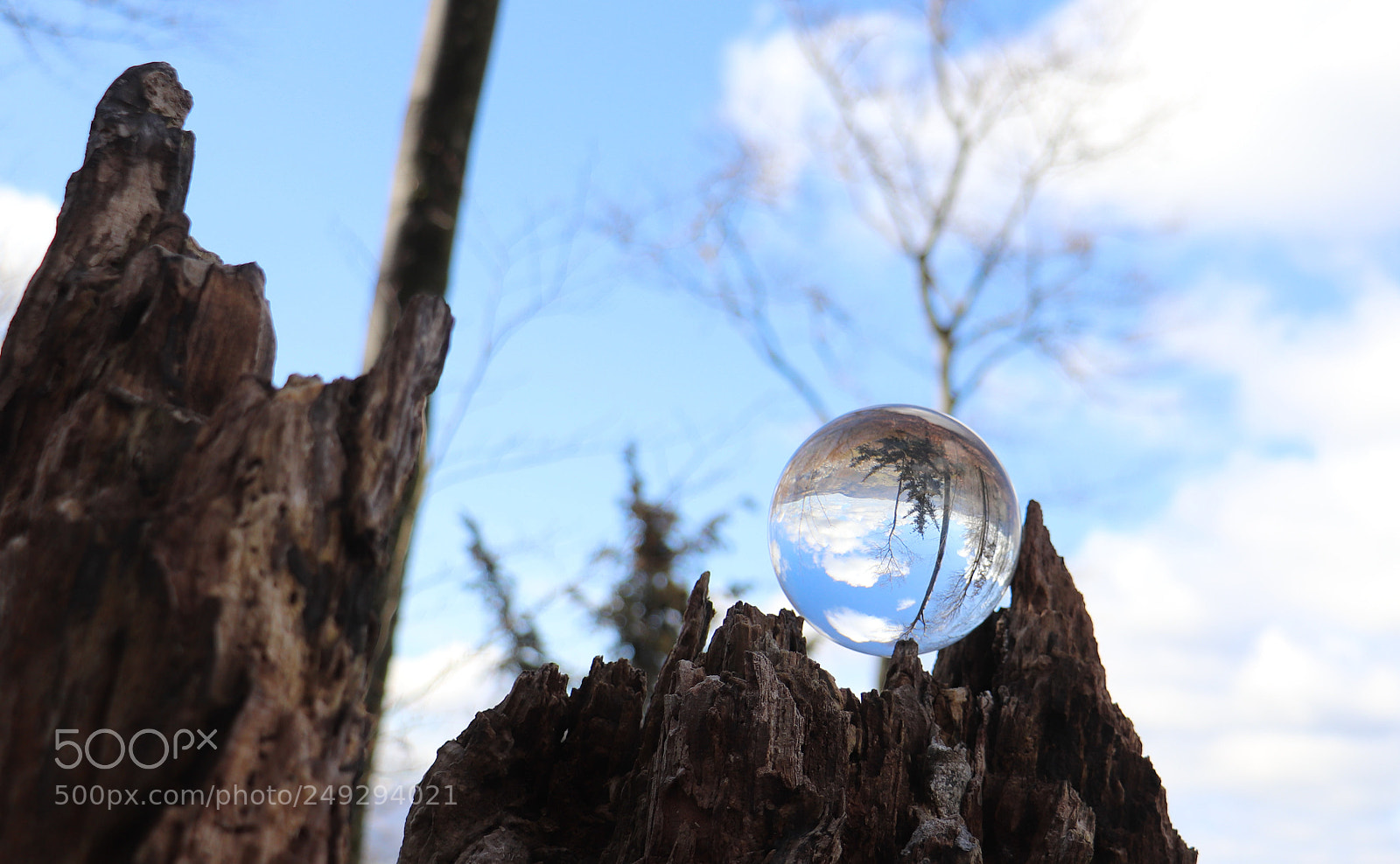Canon EOS 77D (EOS 9000D / EOS 770D) sample photo. Pi-day photography