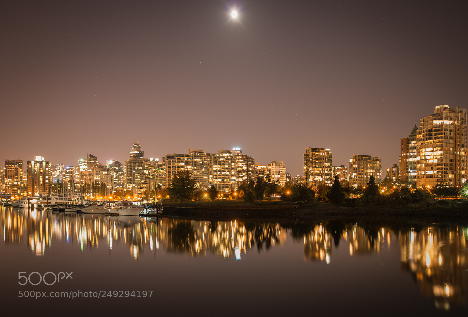 Nikon D800 sample photo. Moonlight city photography