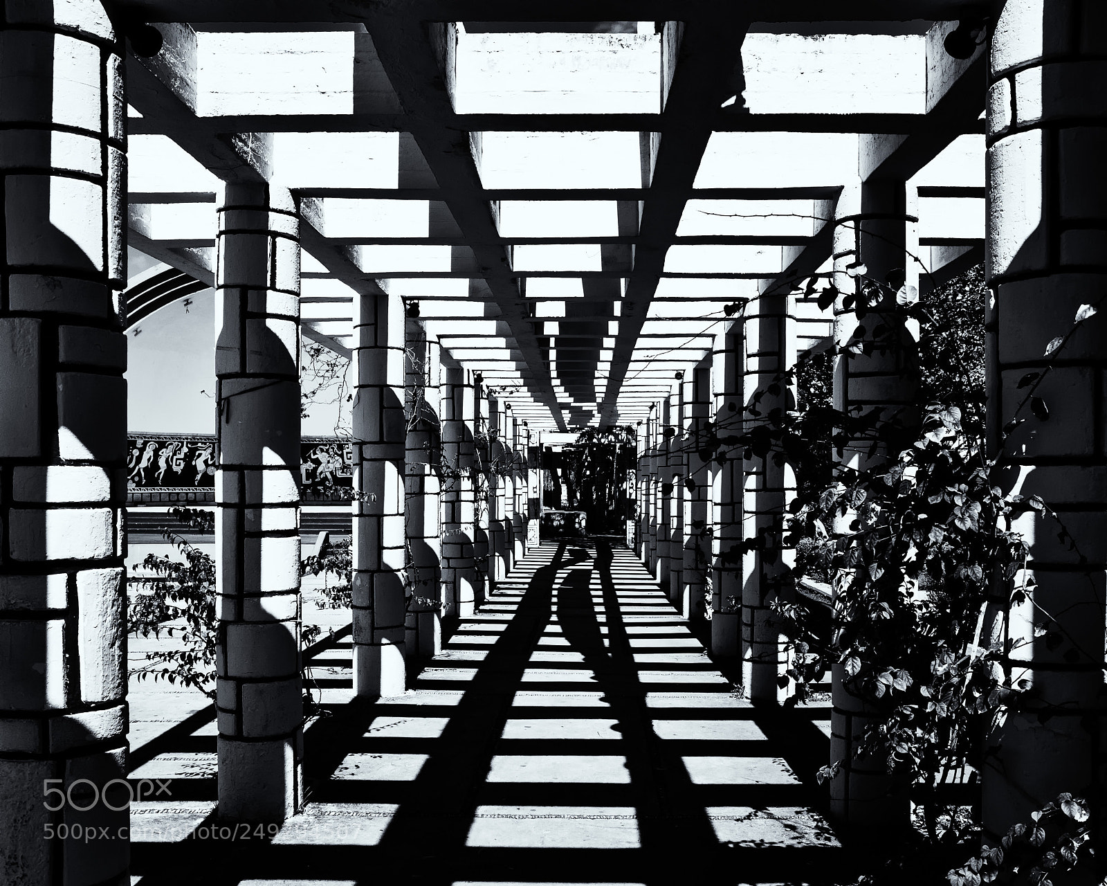 Ricoh GR sample photo. Lines and shadows photography