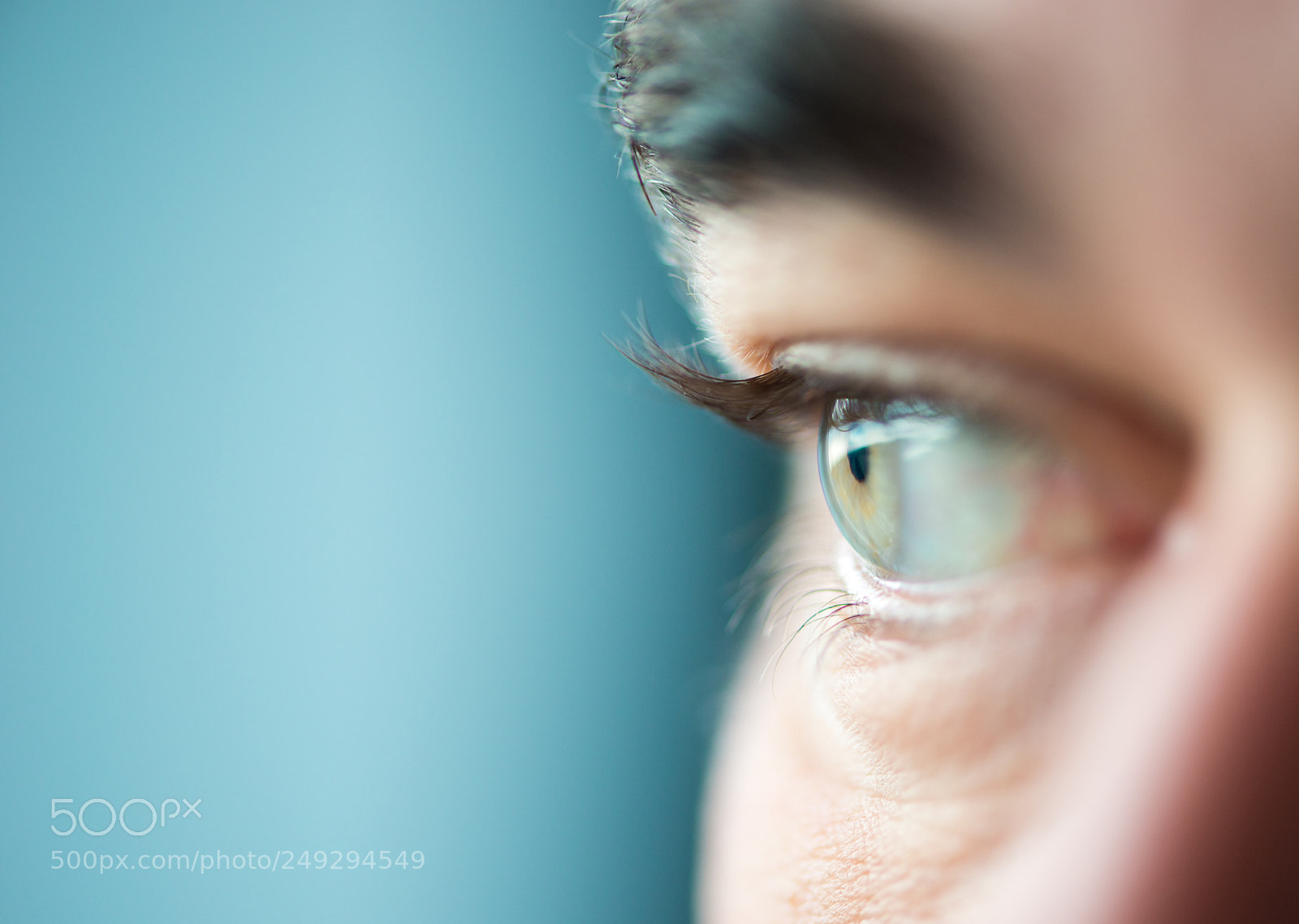 Nikon D800E sample photo. Eye photography