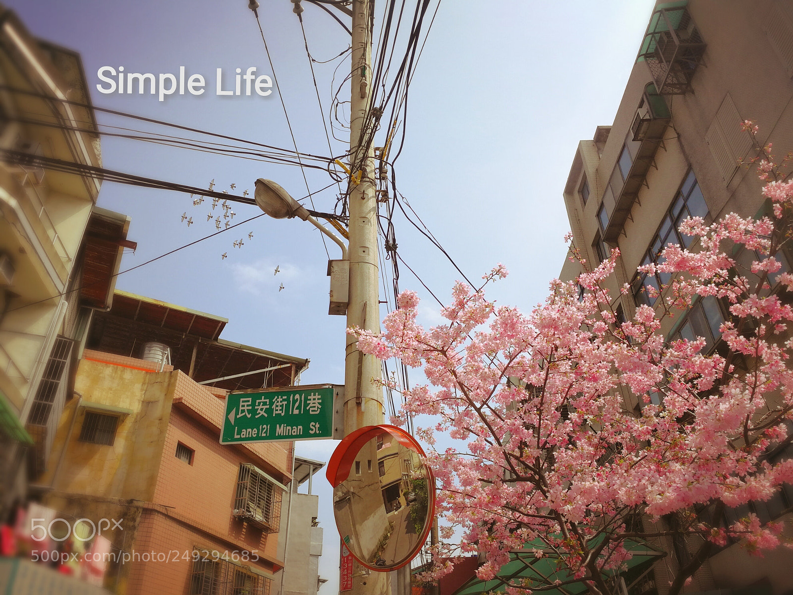 HUAWEI Mate 9 sample photo. Simple life photography