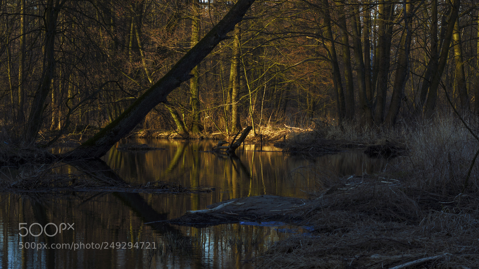 Sony SLT-A65 (SLT-A65V) sample photo. Untitled photography