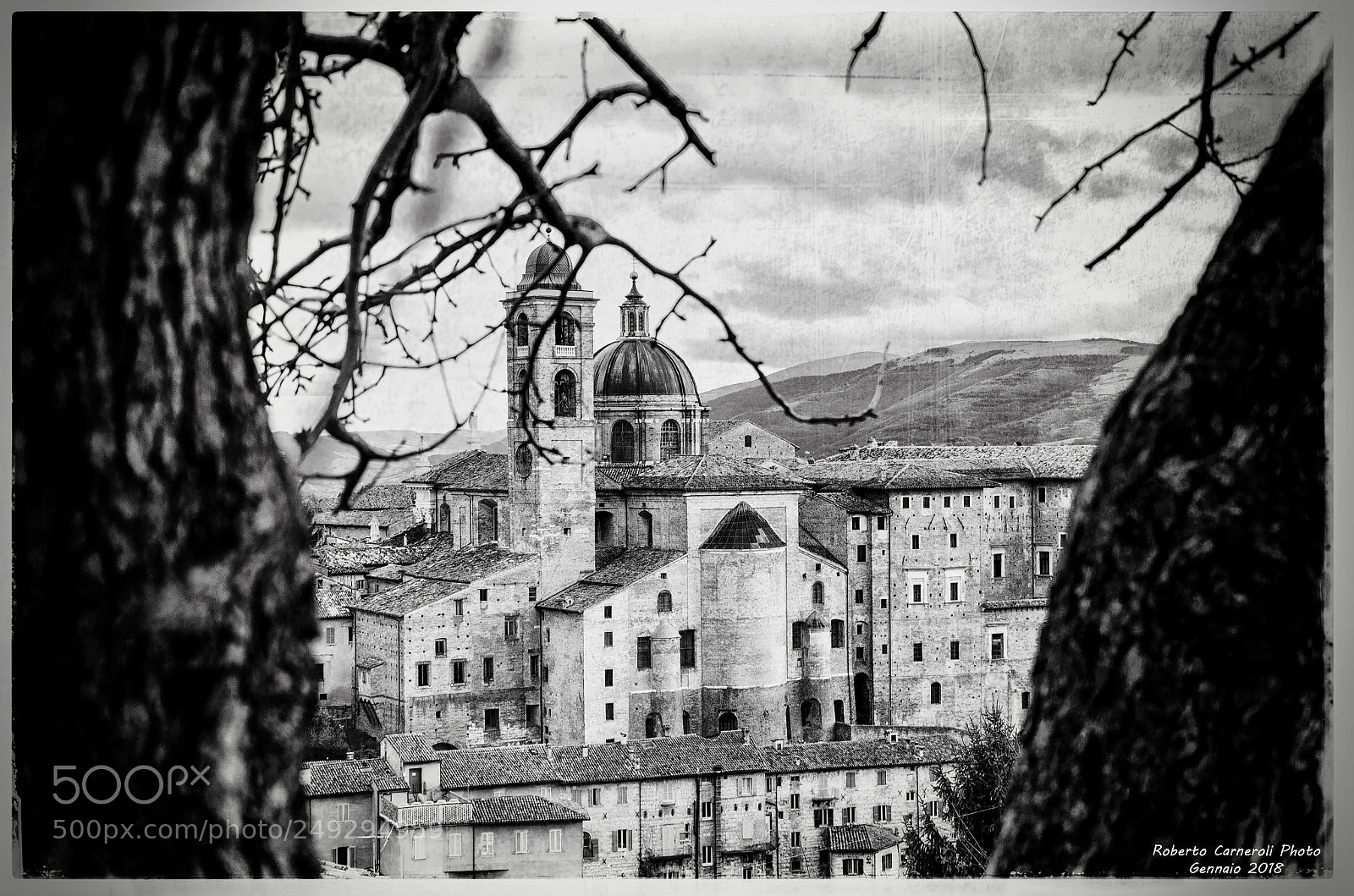 Nikon D7000 sample photo. Urbino 2018 photography