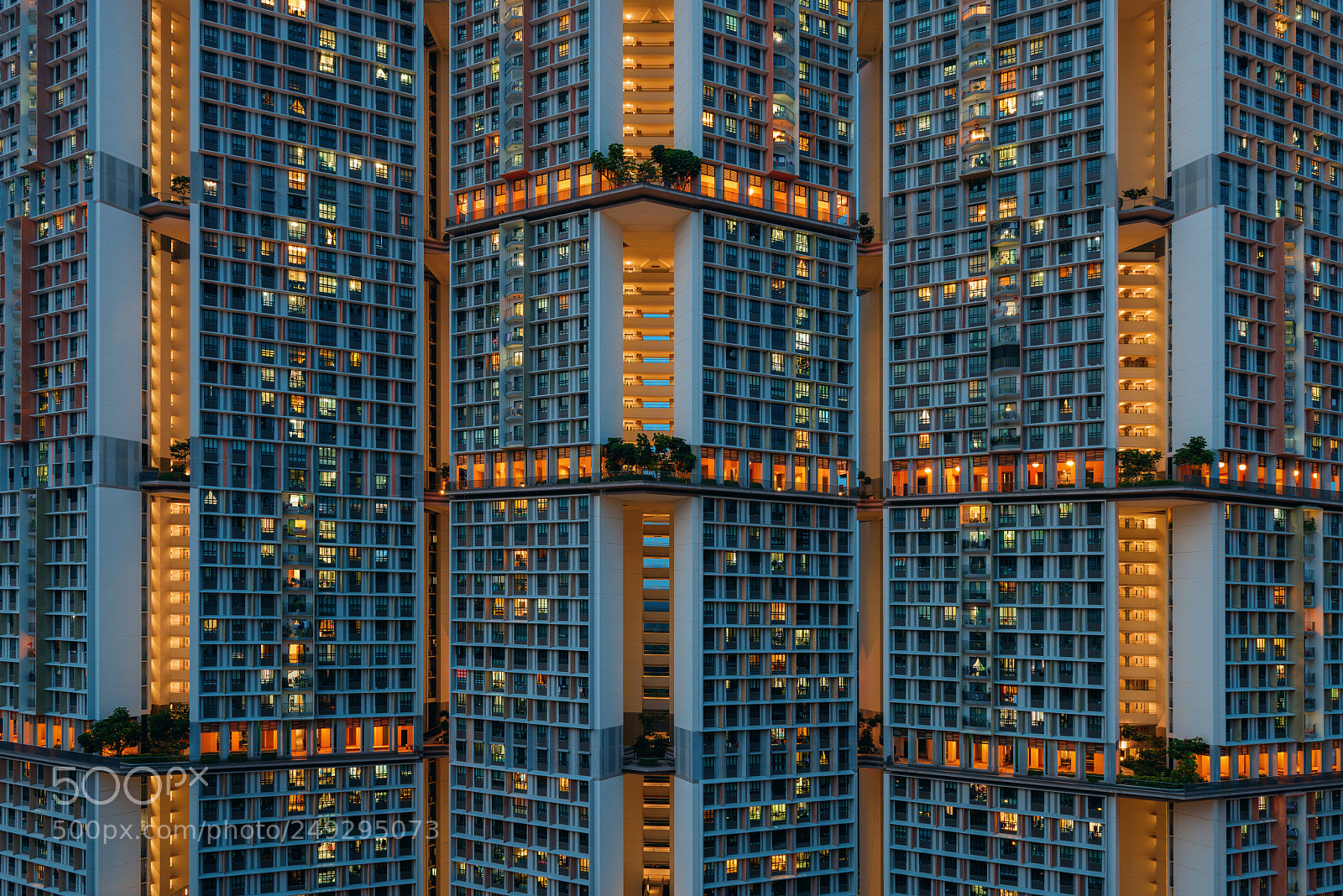 Nikon D810 sample photo. Cells interlinked photography