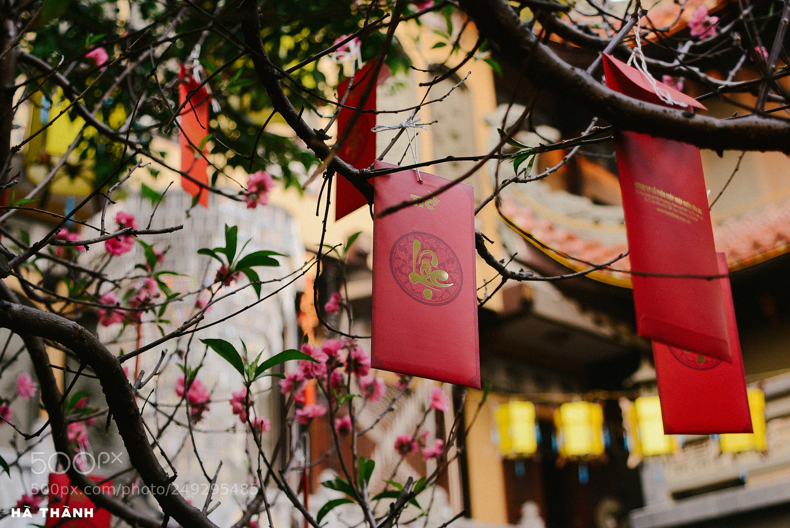 Nikon D7100 sample photo. Tet holiday photography