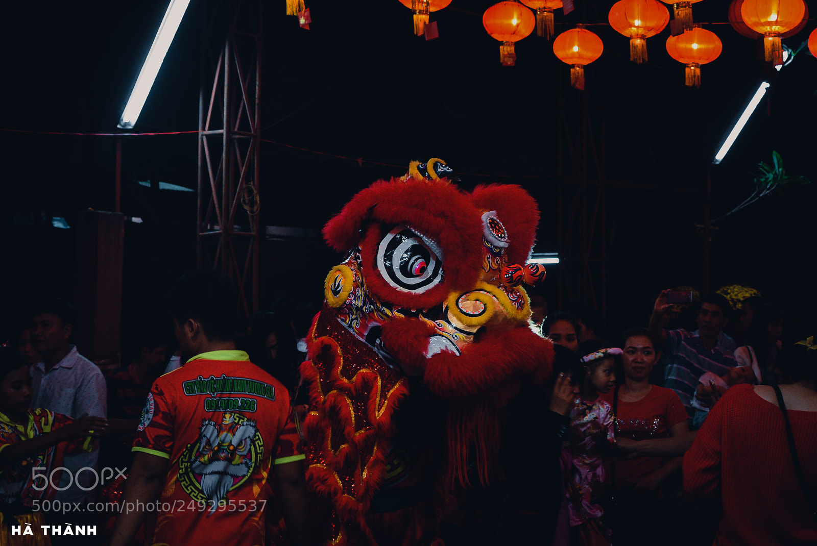 Nikon D7100 sample photo. Tet holiday photography