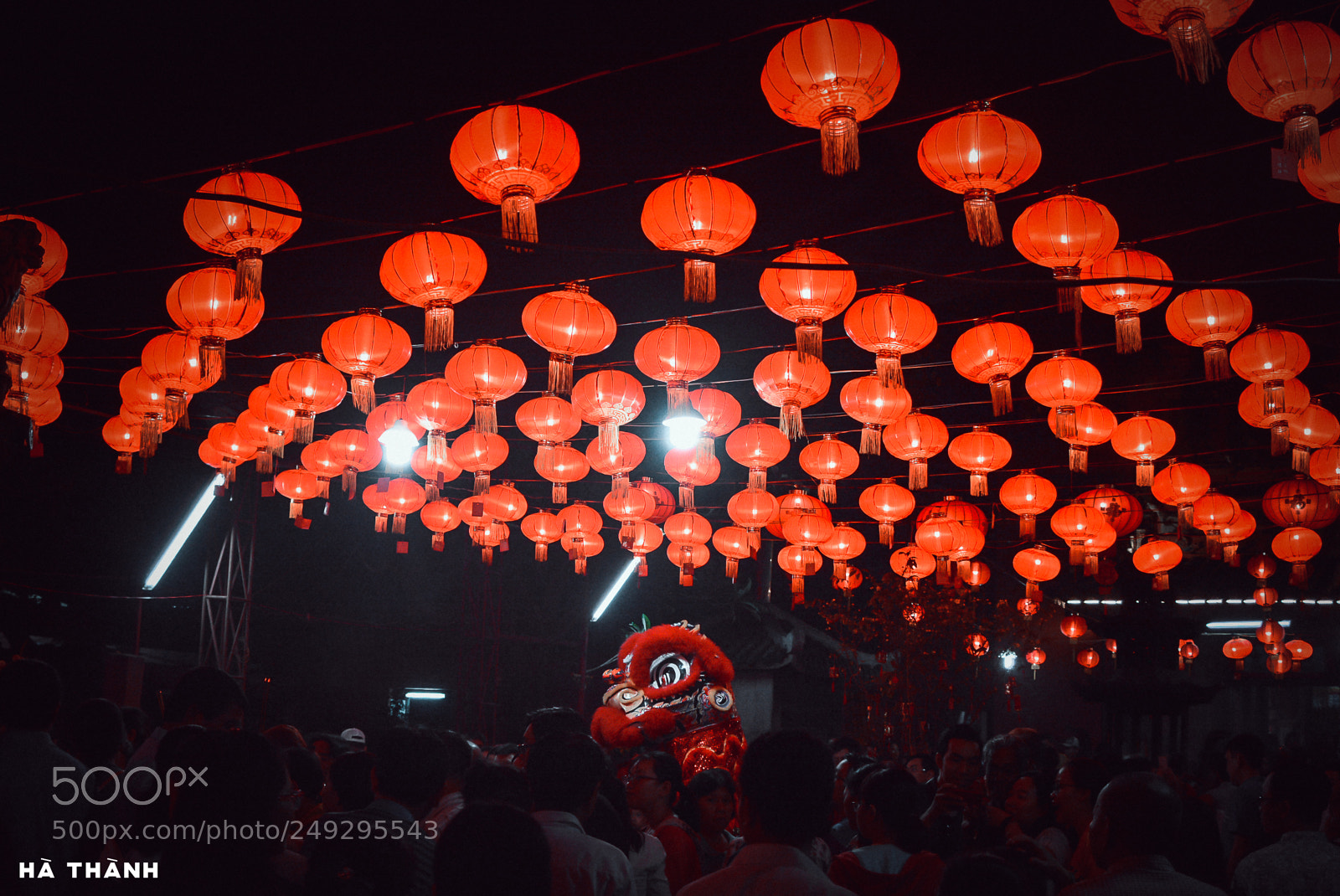 Nikon D7100 sample photo. Tet holiday photography