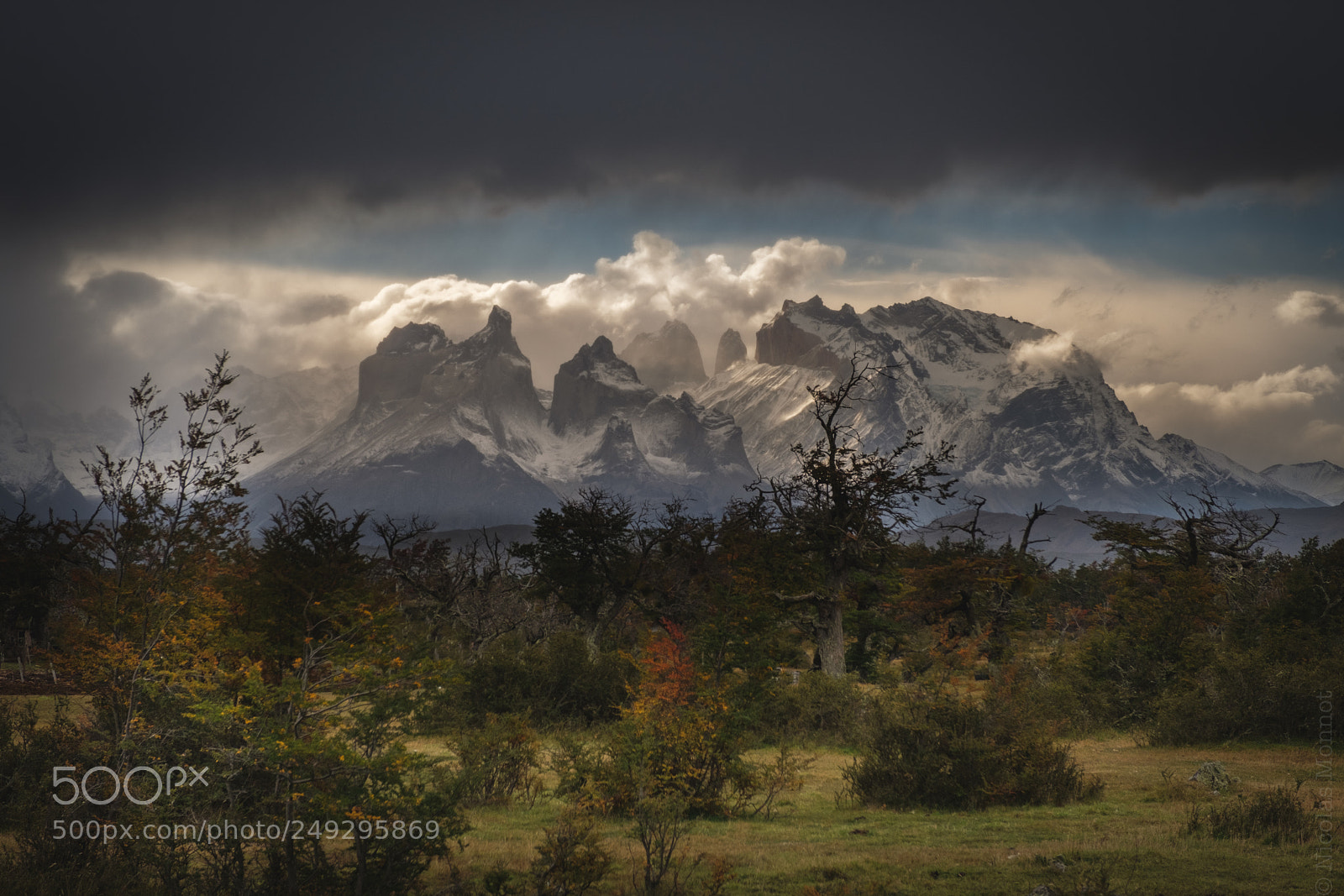 Fujifilm X-T2 sample photo. Los cuernos en oto photography