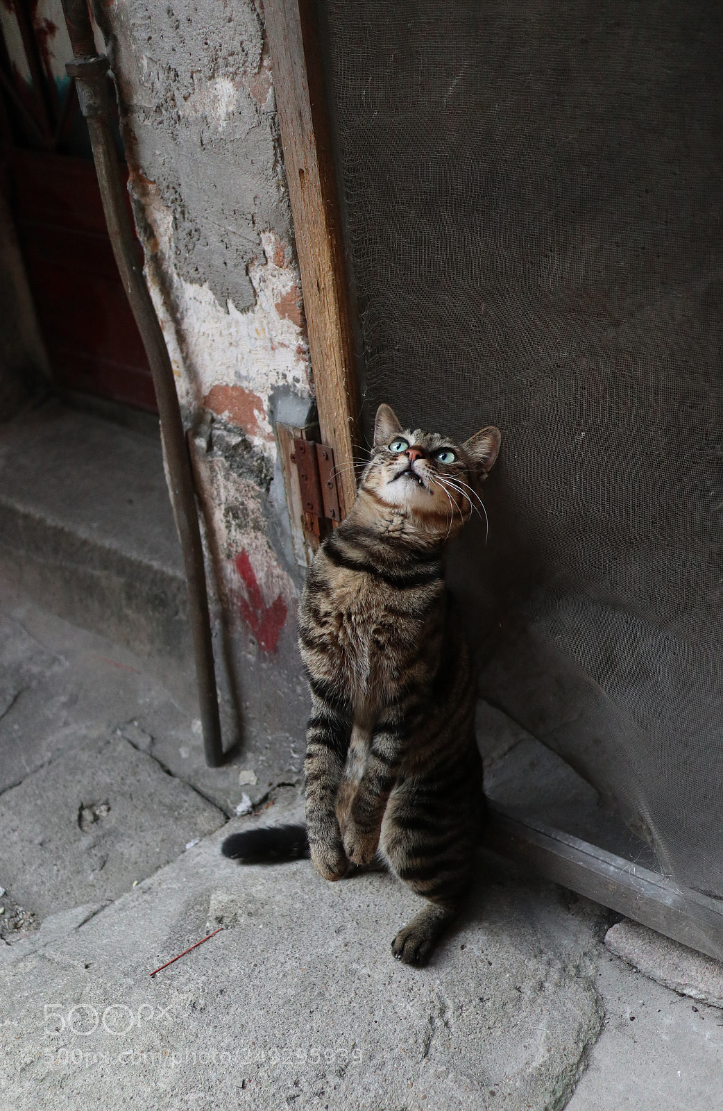 Canon EOS M6 sample photo. Img photography