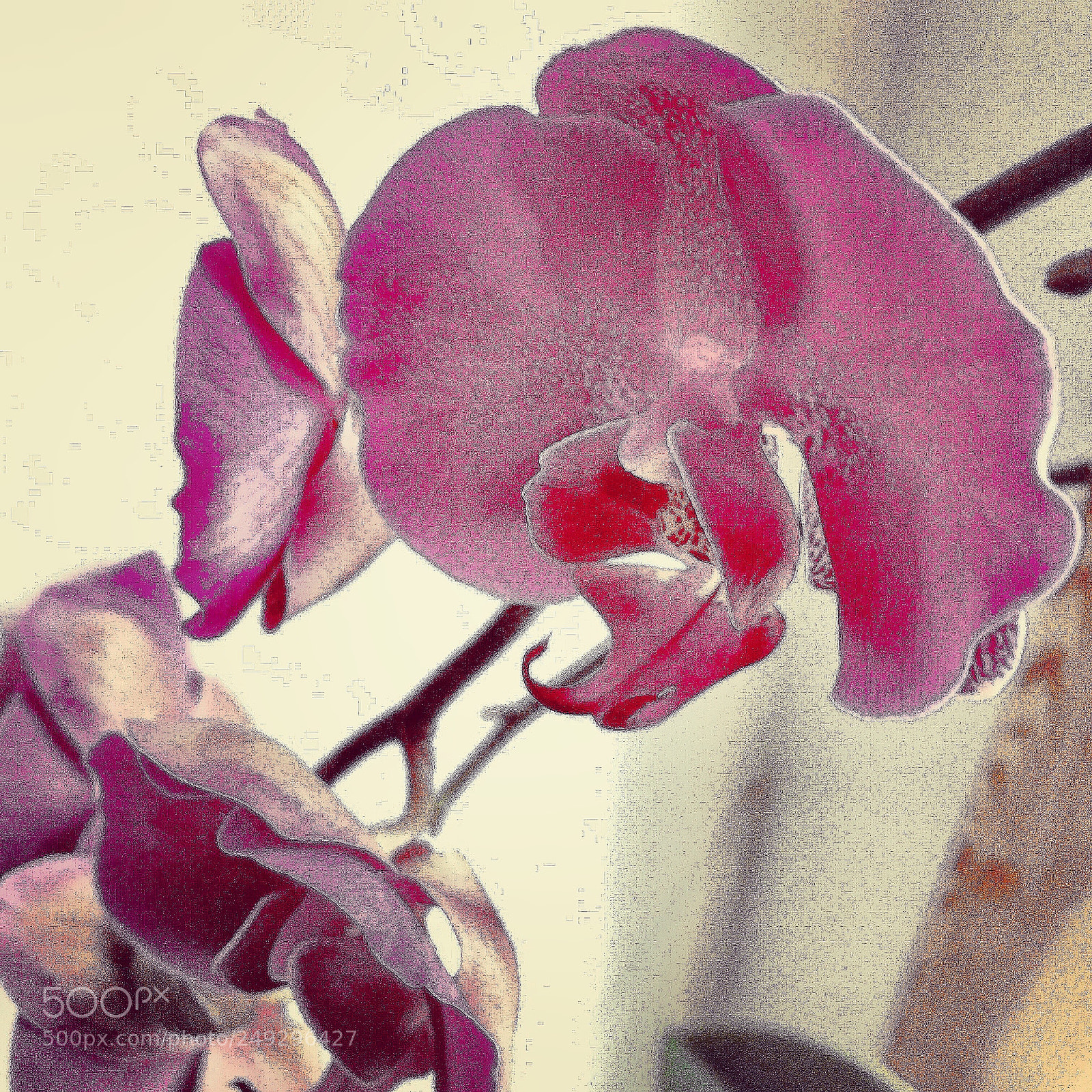 Apple iPhone 6s Plus sample photo. Untitled photography