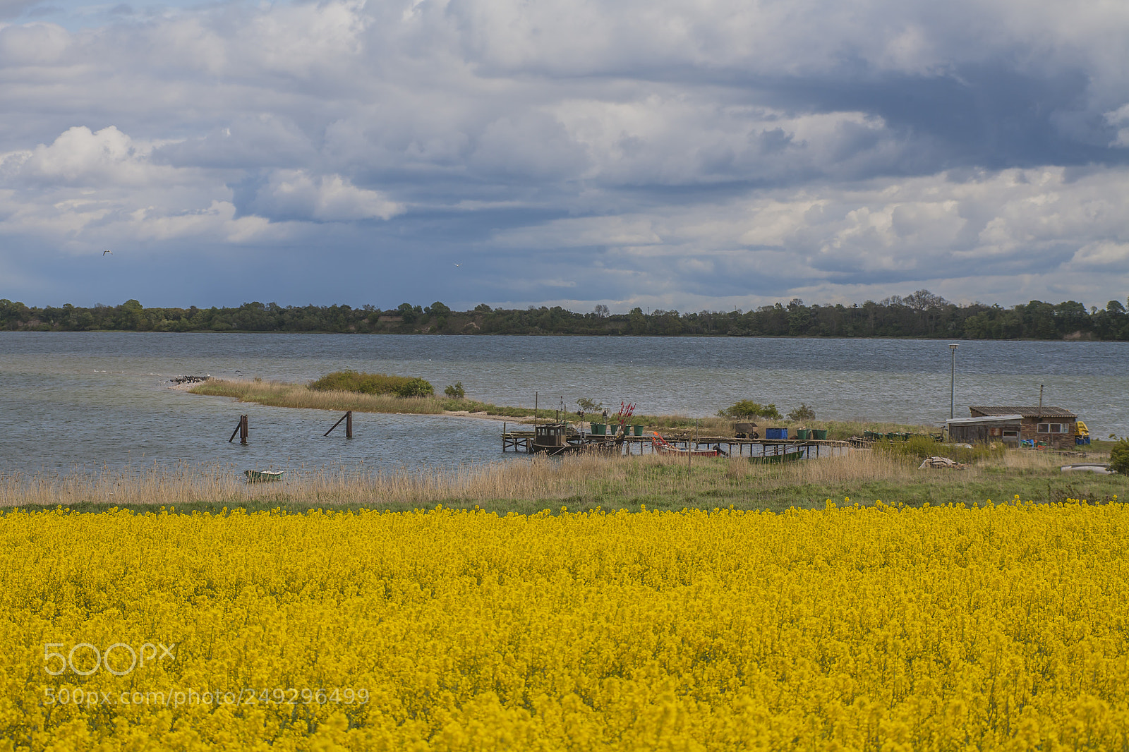 Canon EOS 5D sample photo. Natural harbor in spring photography