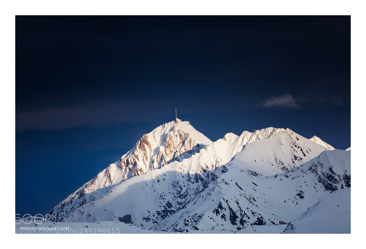 Canon EOS 5D Mark IV sample photo. Blue shine photography
