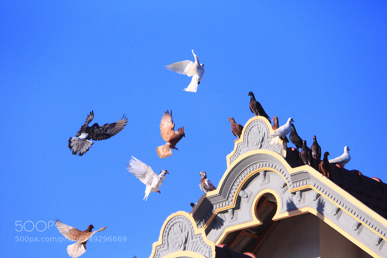 Canon EOS 1200D (EOS Rebel T5 / EOS Kiss X70 / EOS Hi) sample photo. Enjoy the morning sunshine photography