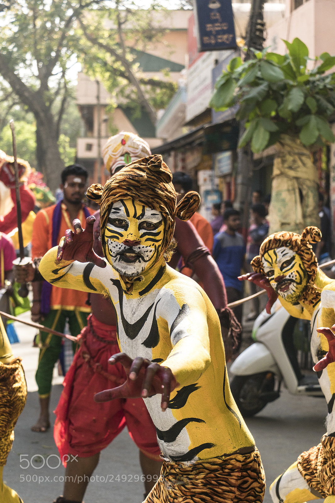 Canon EOS 7D Mark II sample photo. Tiger dance photography