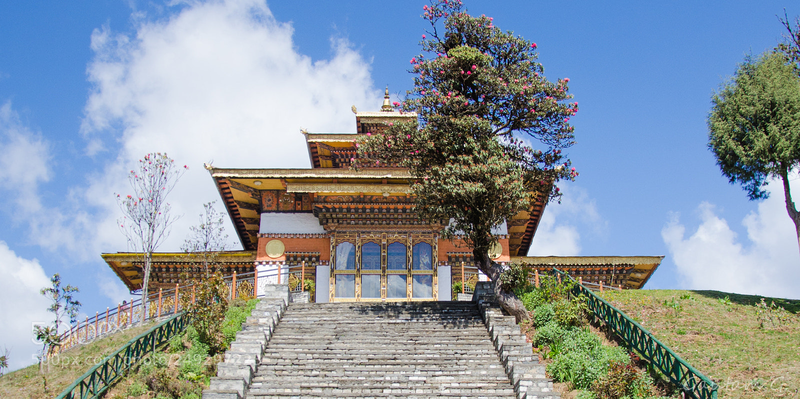 Nikon D7000 sample photo. Druk wangyel monastery, bhutan photography