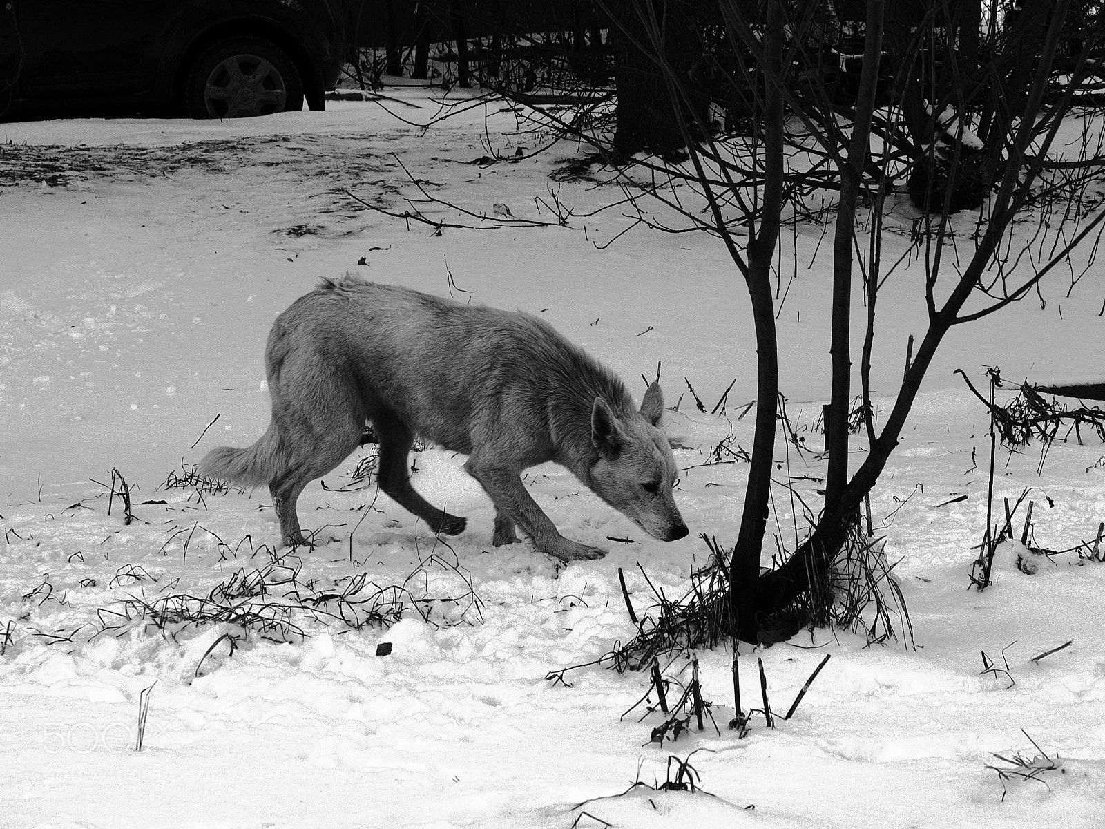 Fujifilm X20 sample photo. Голод не тетка hunger is not aunt photography
