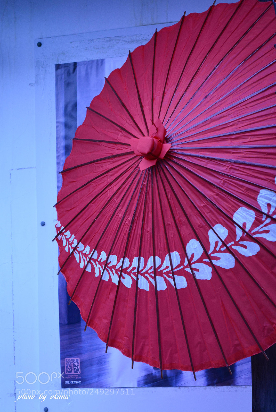 Nikon D5200 sample photo. (japanese umbrella) photography