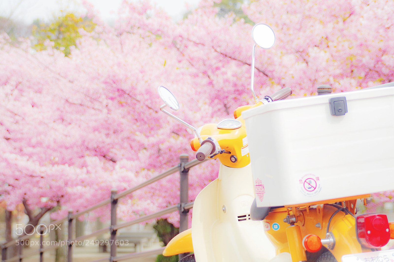 Pentax K-S2 sample photo. Spring has come! photography