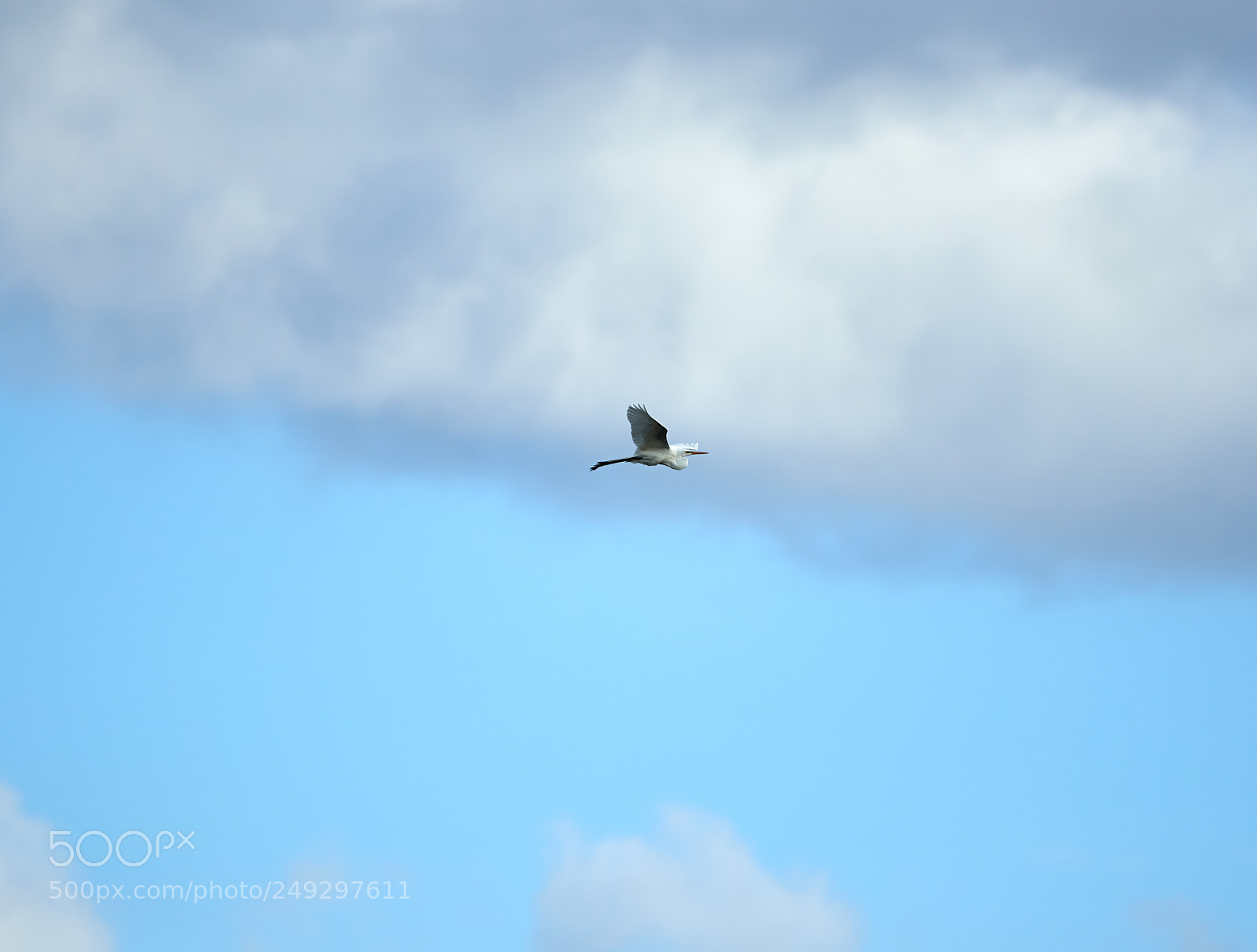 Canon EOS-1D X Mark II sample photo. 03-14-18-0007466.jpg photography