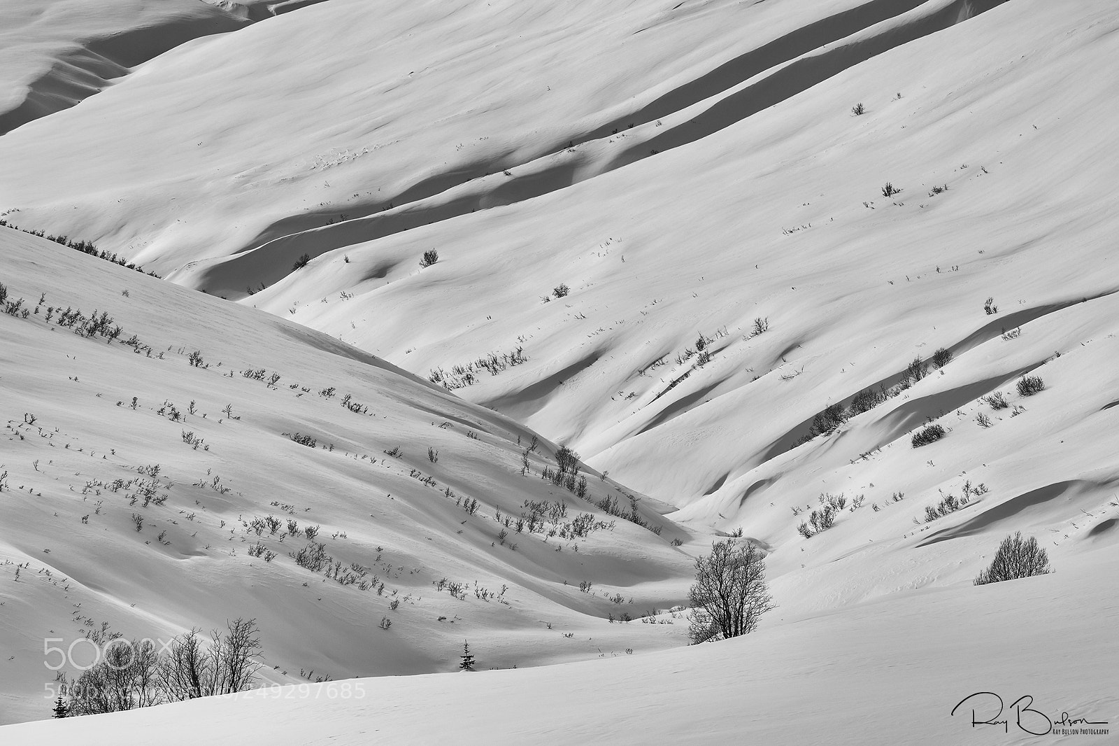 Canon EOS 5D Mark IV sample photo. Winter's curves photography