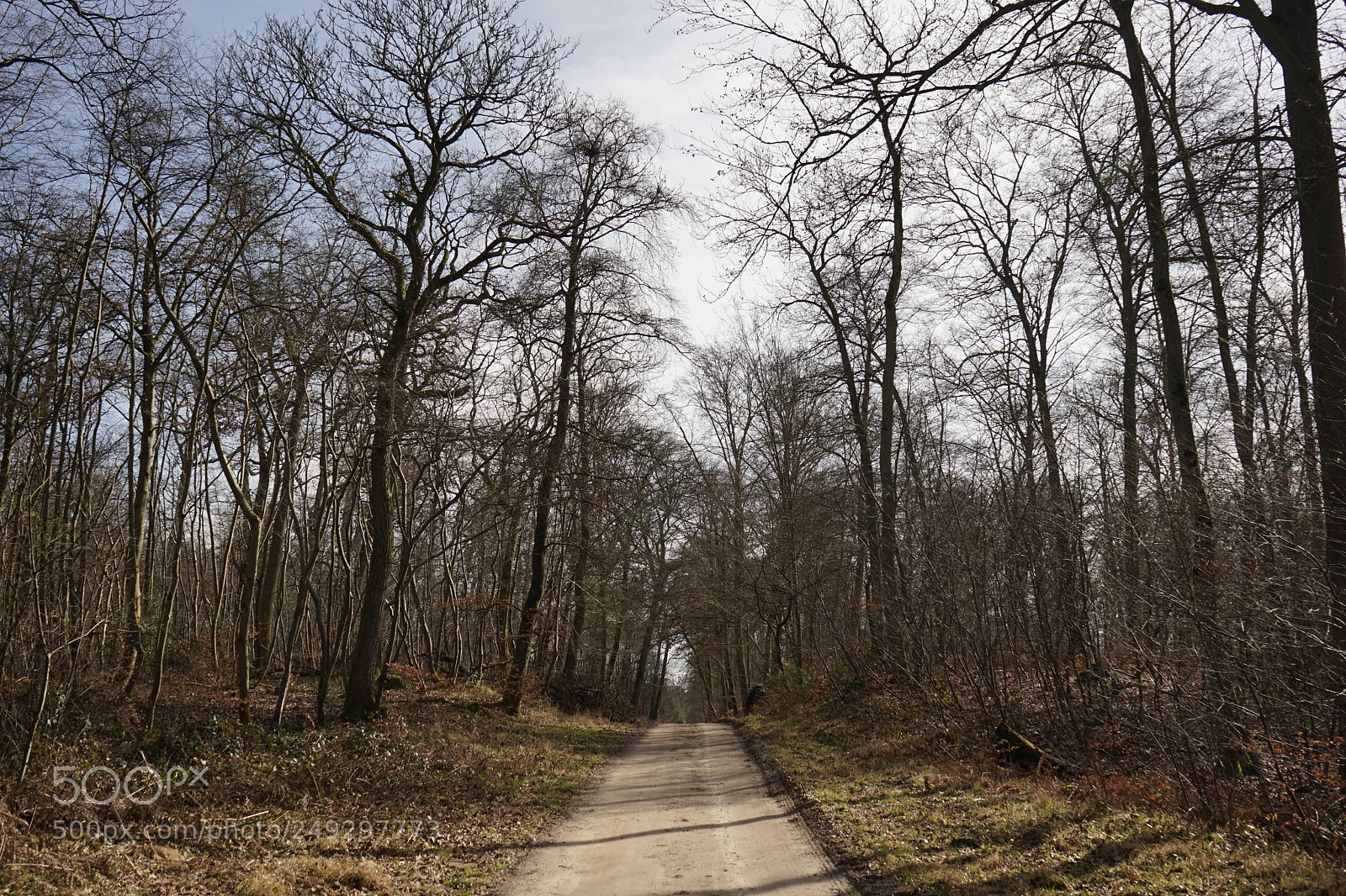 Sony a7 sample photo. Untitled photography