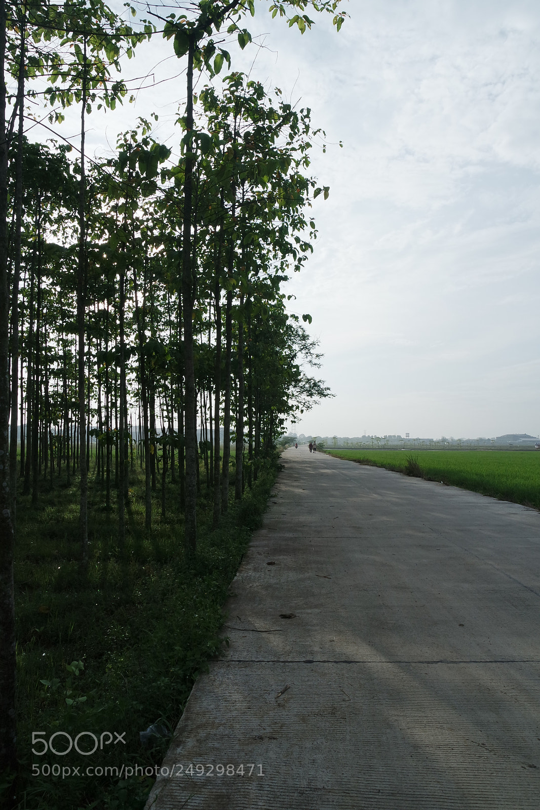 Samsung NX3000 sample photo. Long lonely road photography