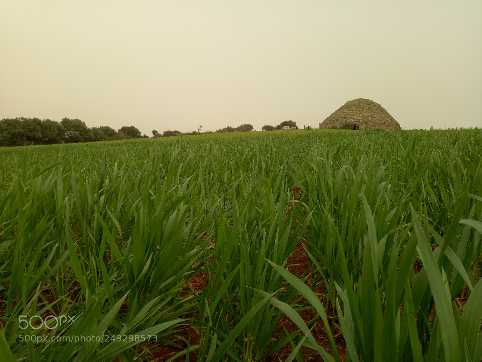 OPPO A1601 sample photo. Le tombeau de la photography