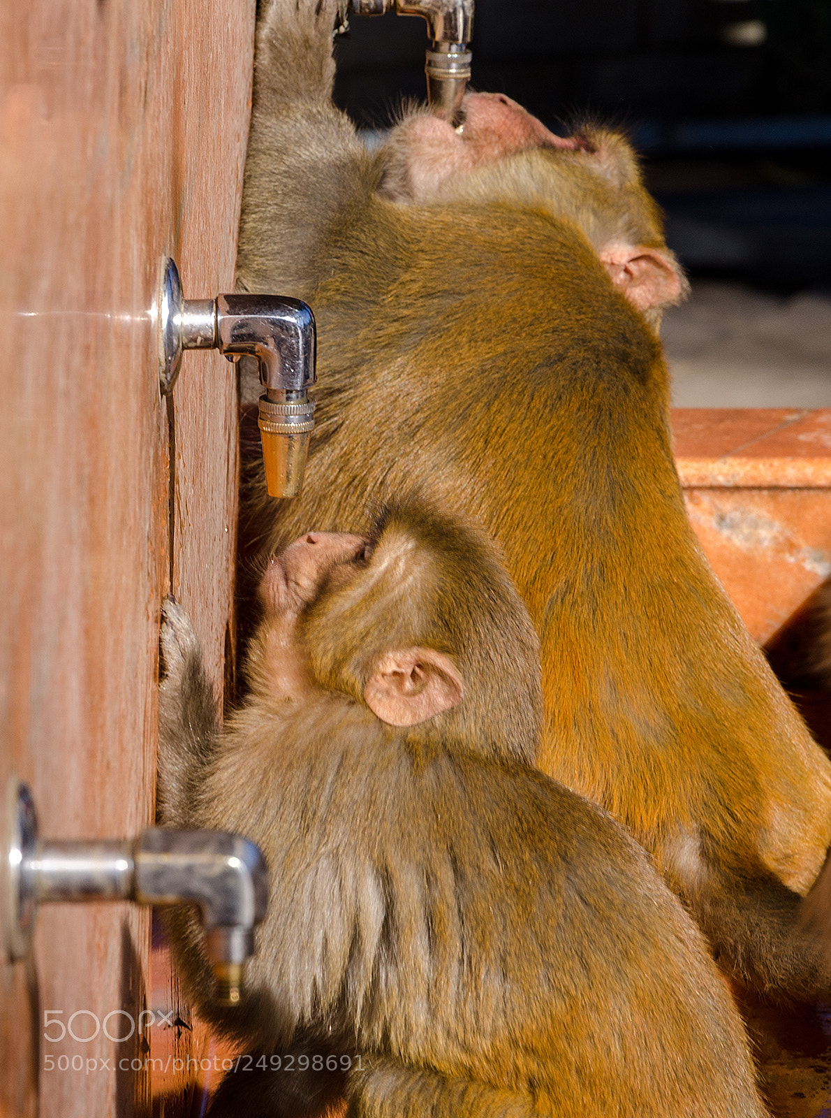 Nikon D7000 sample photo. Not a drop to photography