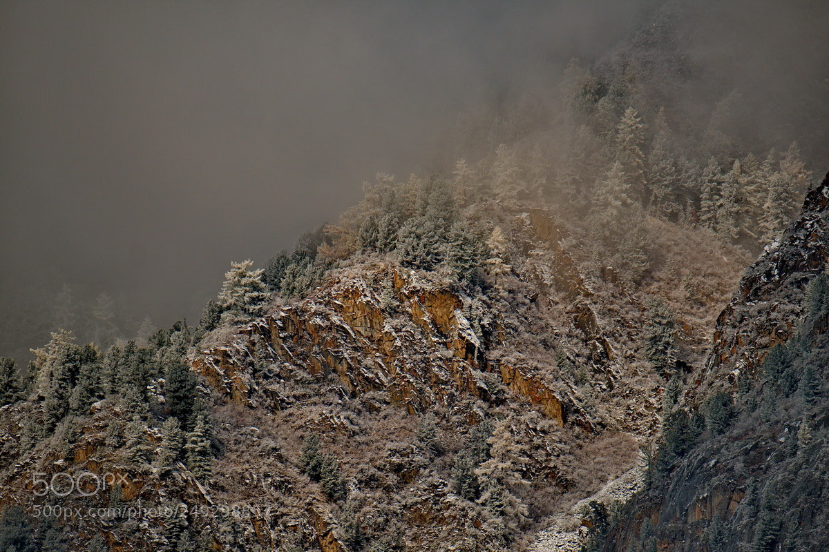 Fujifilm X-T1 sample photo. Russia. the south of photography