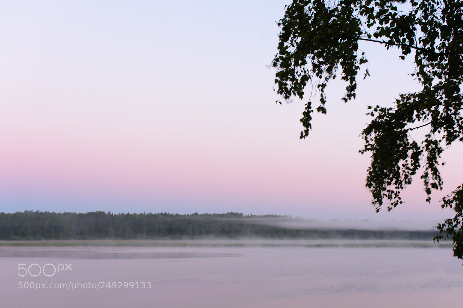 Nikon D7100 sample photo. Morning lilac fog over photography