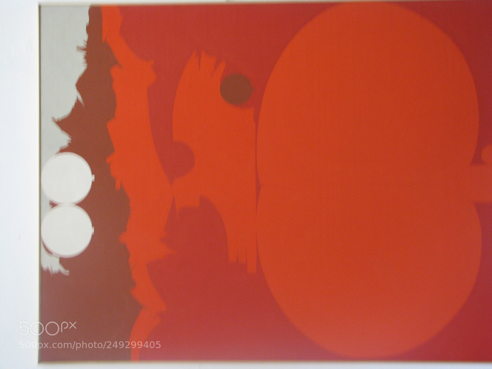 Canon POWERSHOT S5 IS sample photo. Rose orangé abstract photography