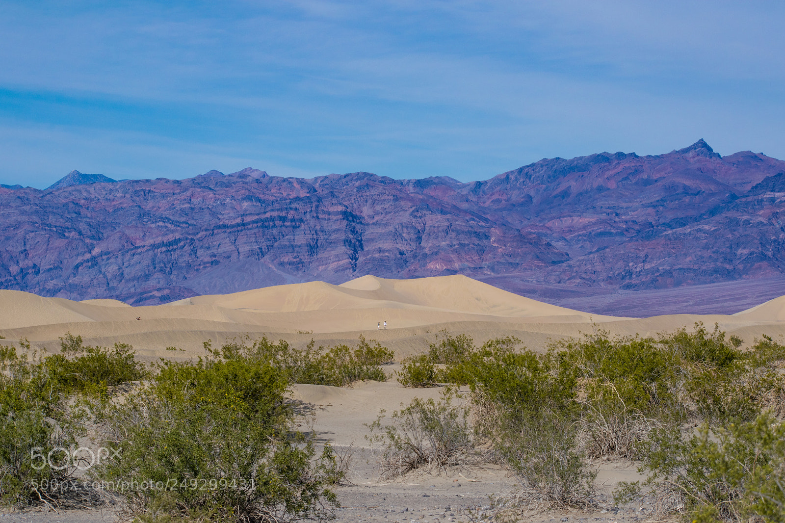 Nikon D5300 sample photo. Mesquite flat sand dunes photography