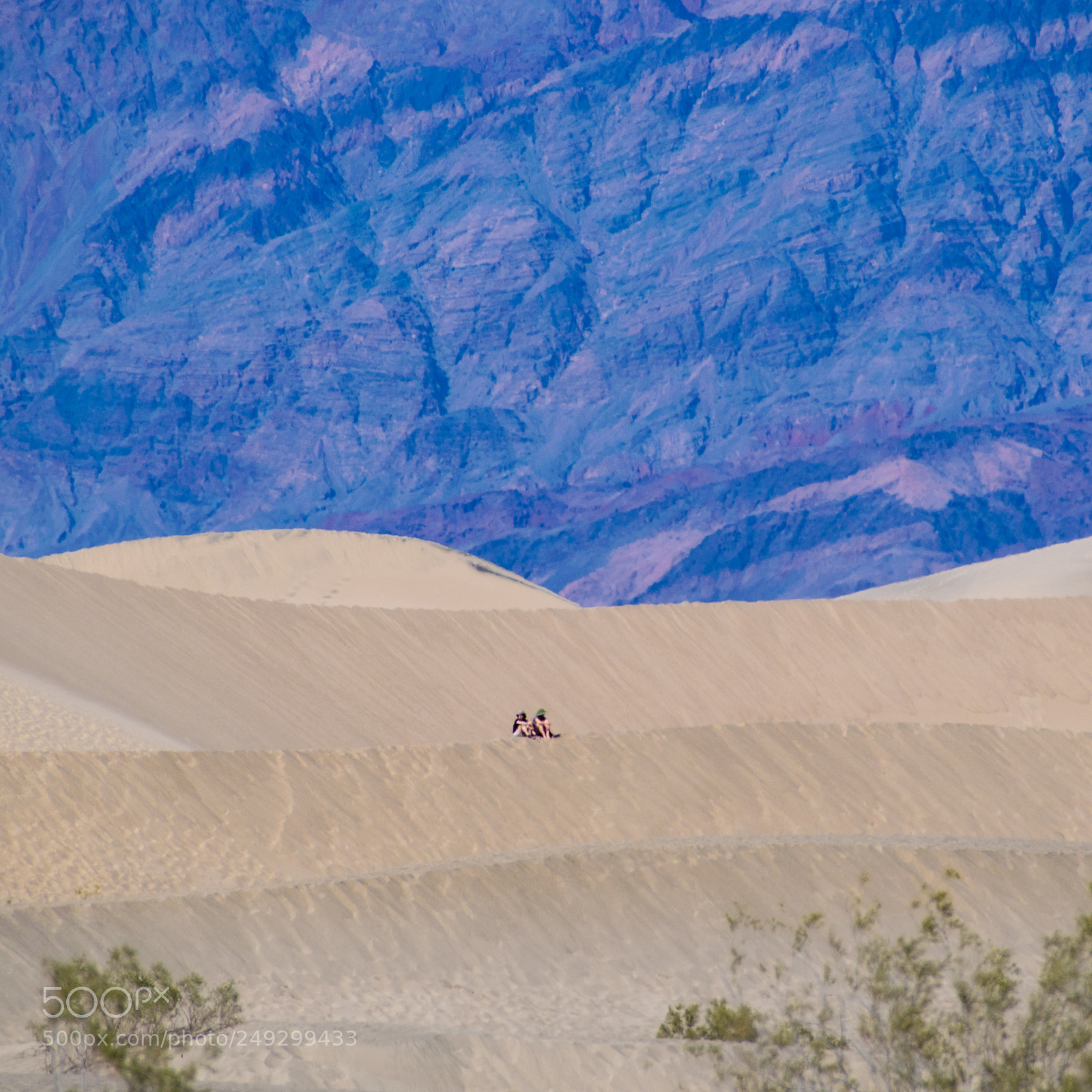 Nikon D5300 sample photo. Mesquite flat sand dunes photography