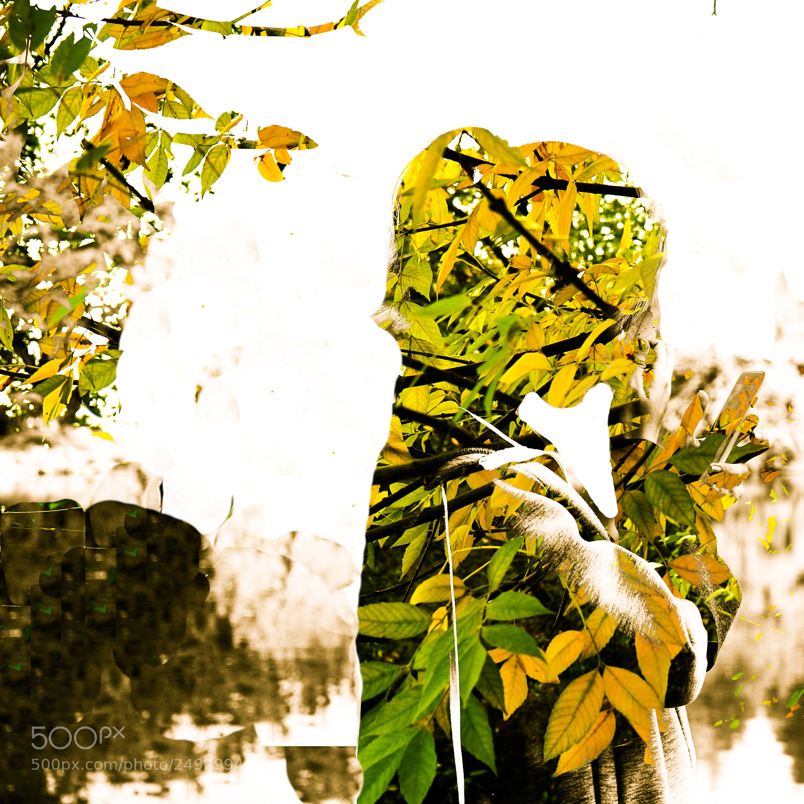 Sony a7 sample photo. Hiding in autumn photography