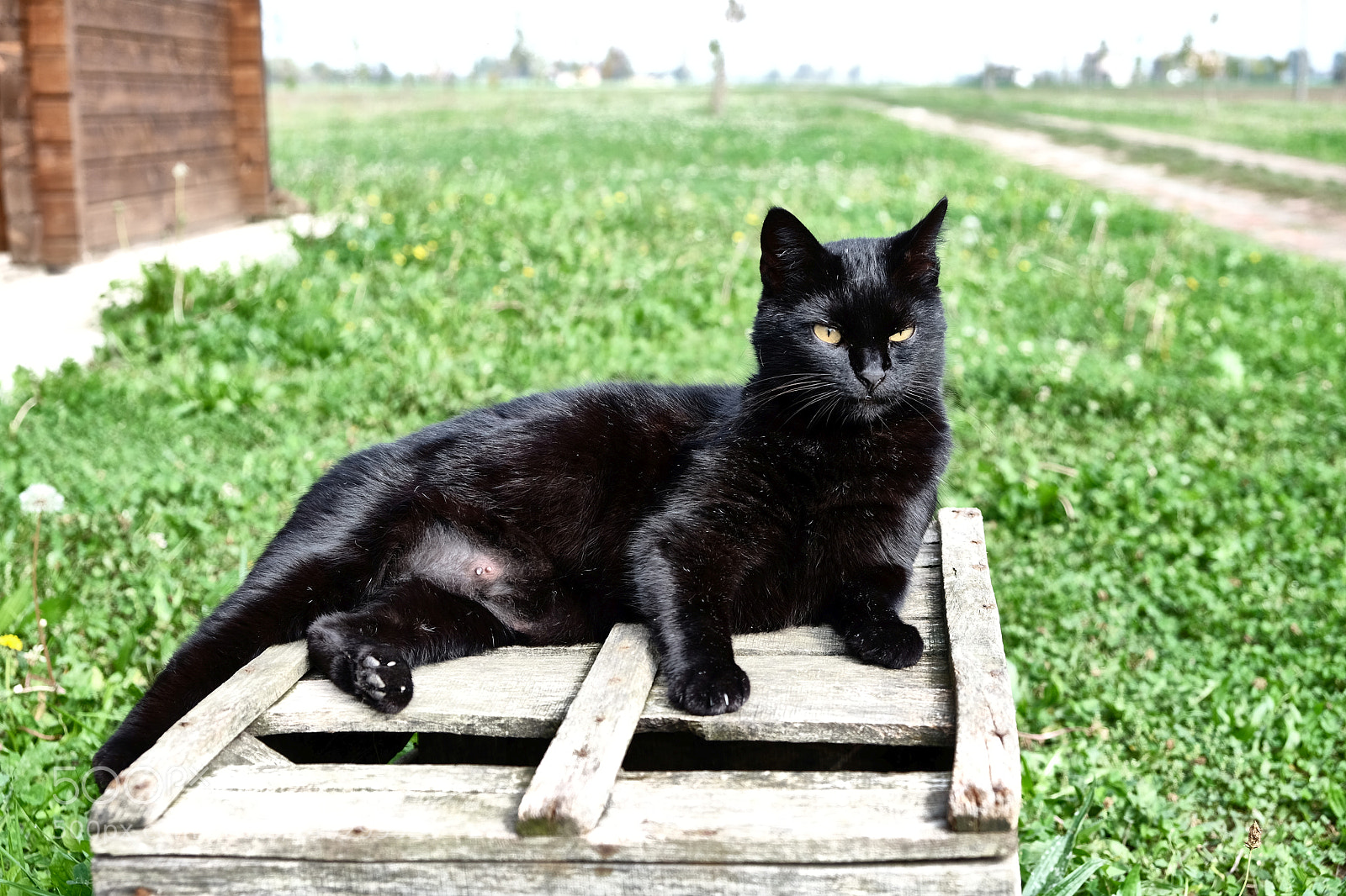 Fujifilm X-T1 sample photo. Kiki (miyazaki) photography