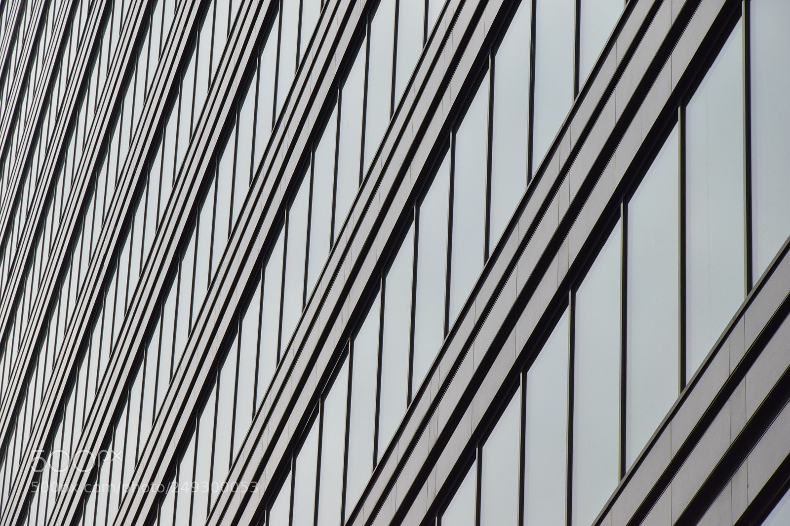 Nikon D3300 sample photo. Office photography