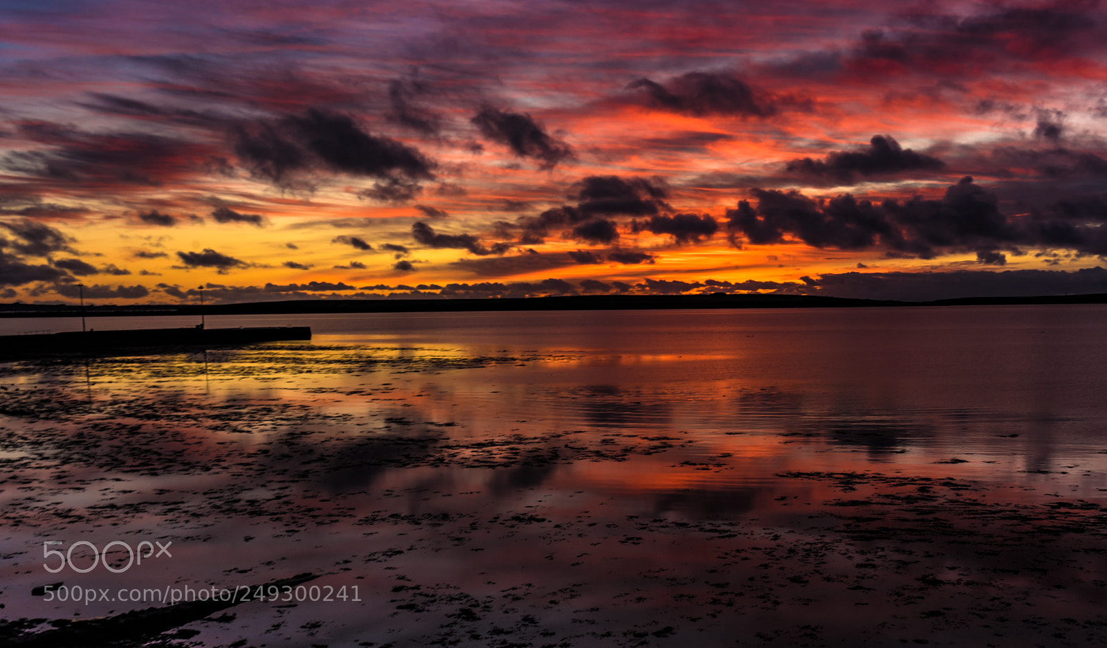 Sony a7 II sample photo. December sunrise photography