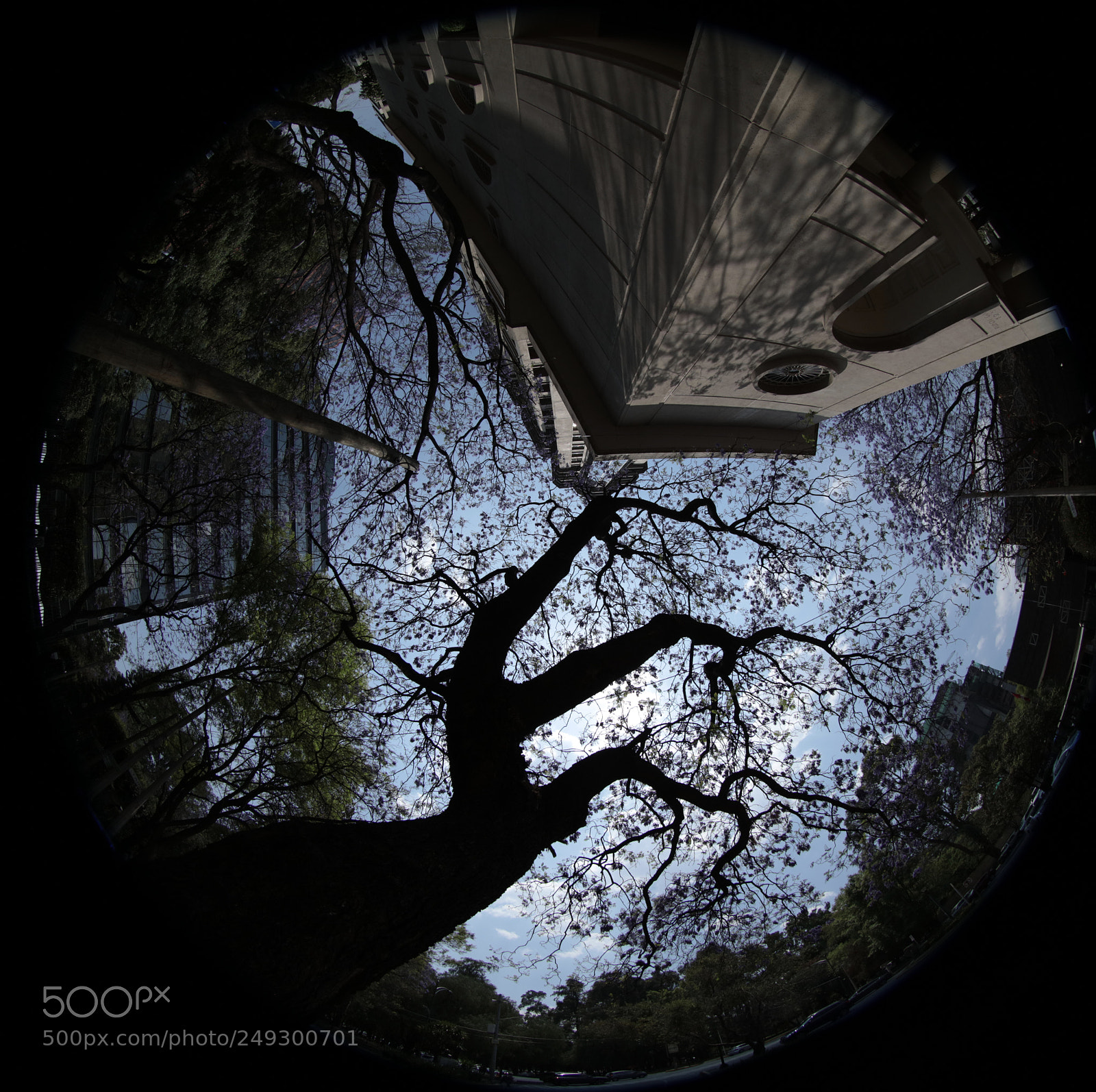 Canon EOS 5DS R sample photo. Mexico city, mysterious and photography