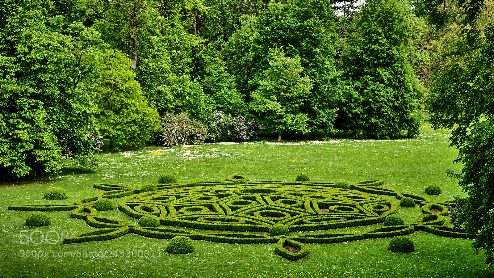 Nikon D5000 sample photo. Park photography