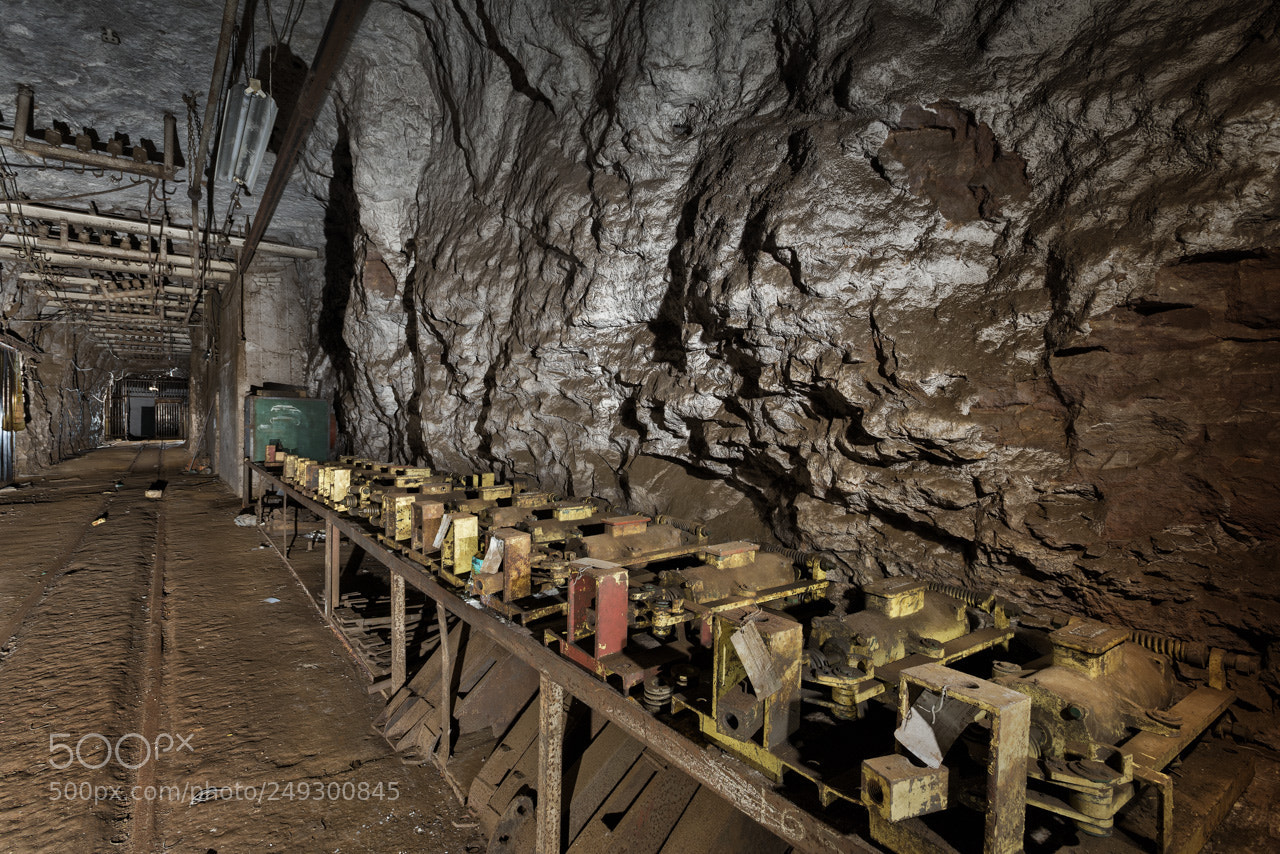 Nikon D600 sample photo. Repair shunting device photography
