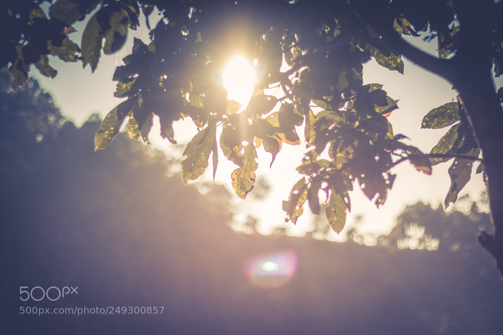 Canon EOS 760D (EOS Rebel T6s / EOS 8000D) sample photo. Untitled photography