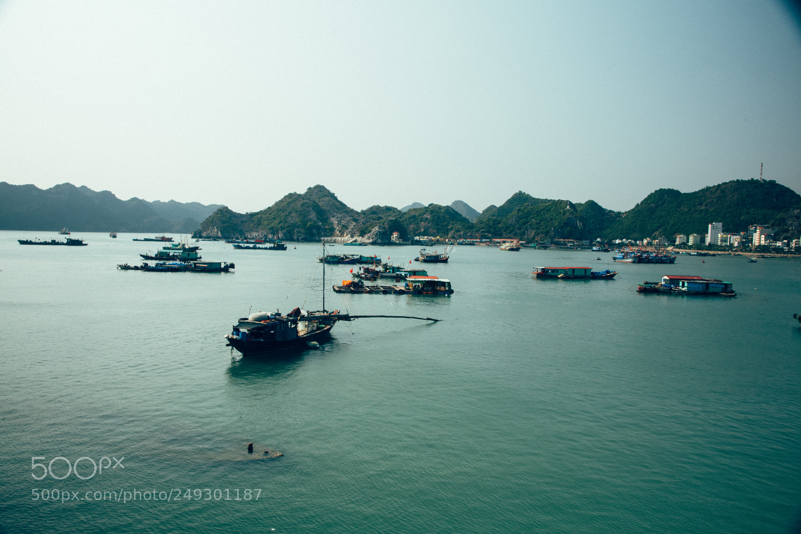 Nikon D7500 sample photo. Cat ba island lan photography