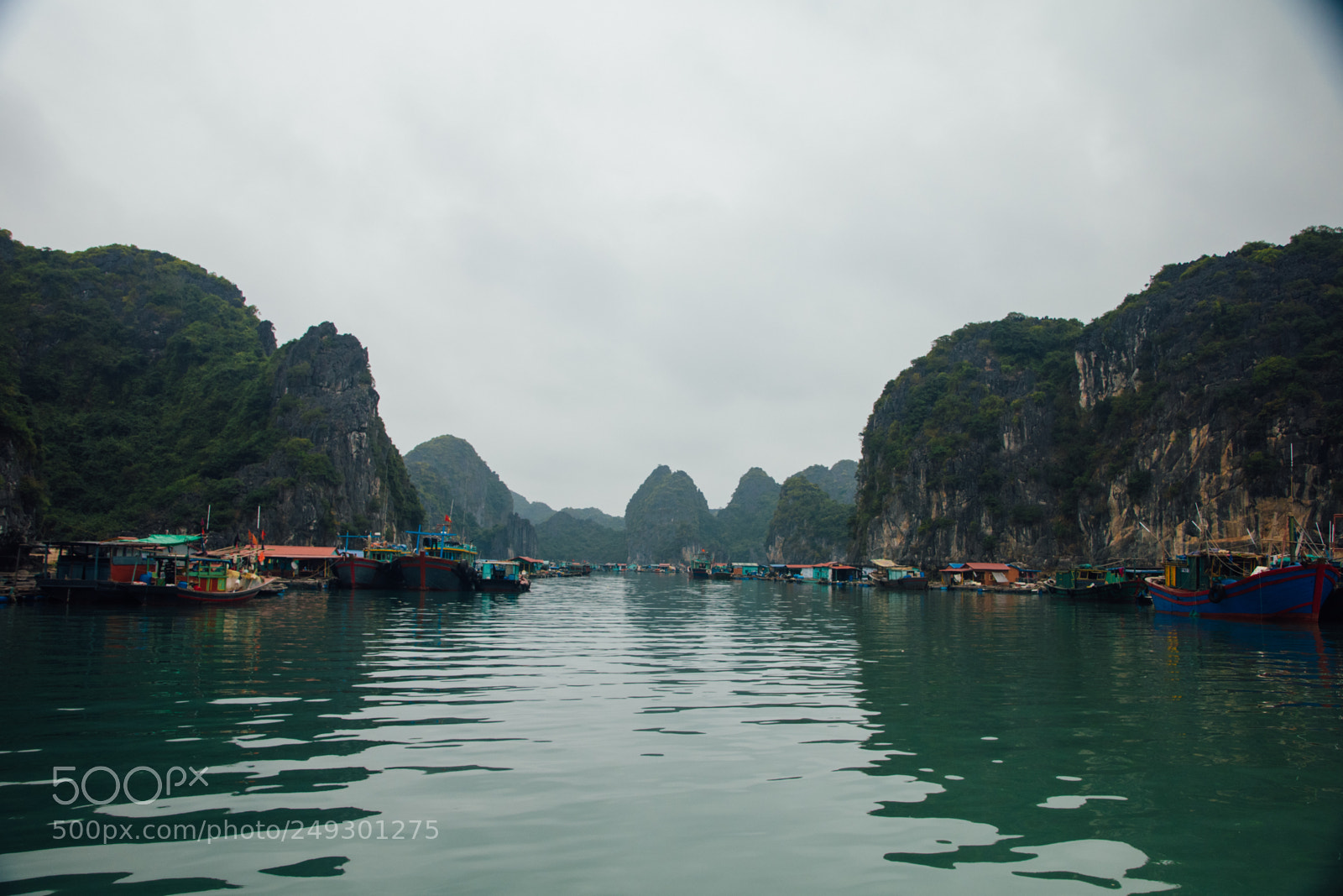 Nikon D7500 sample photo. Cat ba island lan photography