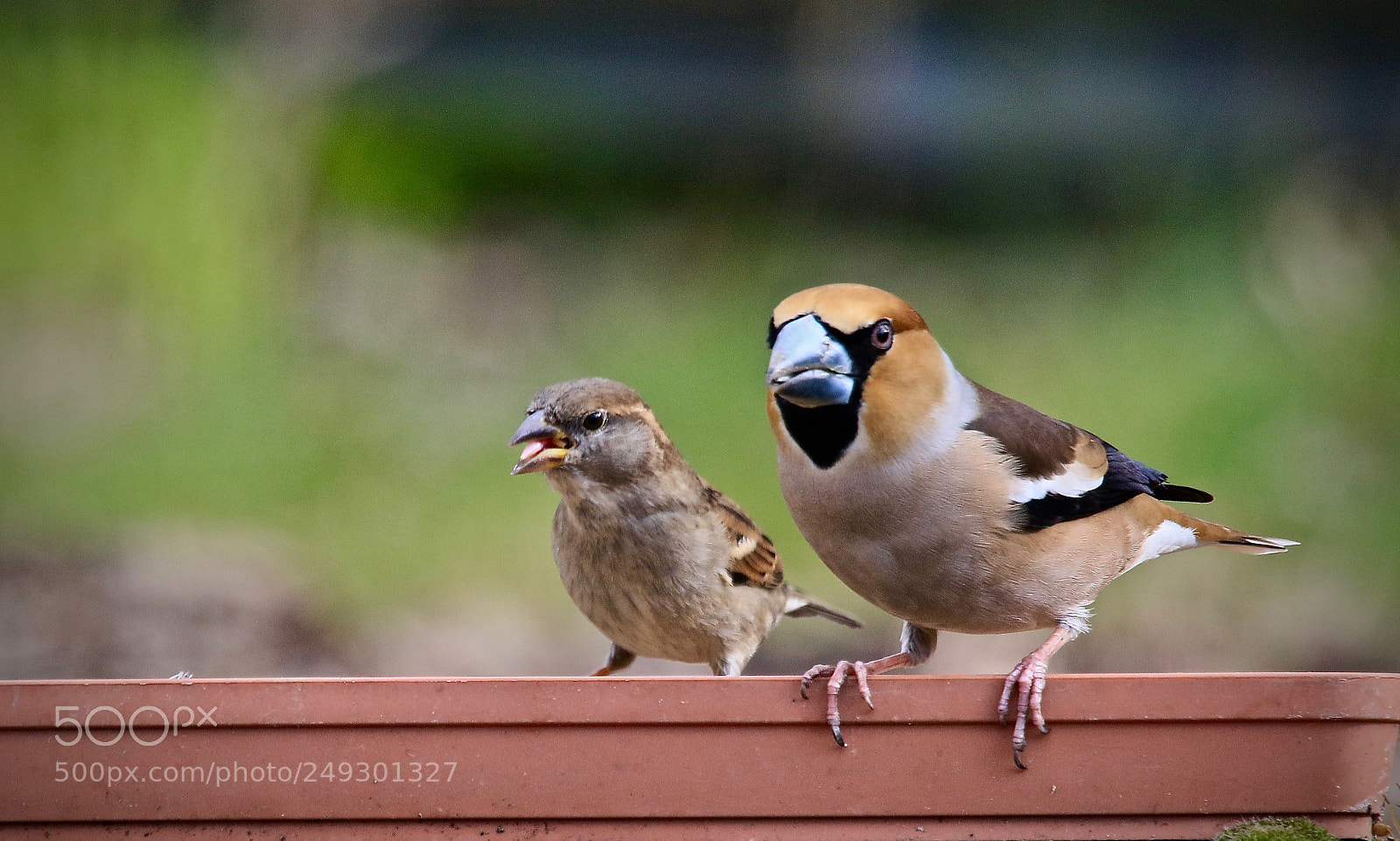 Canon EOS 7D Mark II sample photo. Eating together photography
