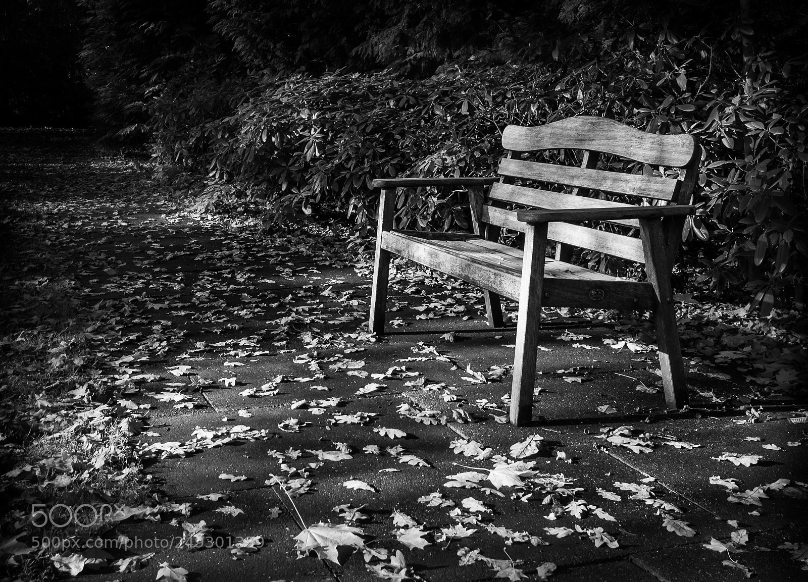 Nikon D610 sample photo. Take a seat photography