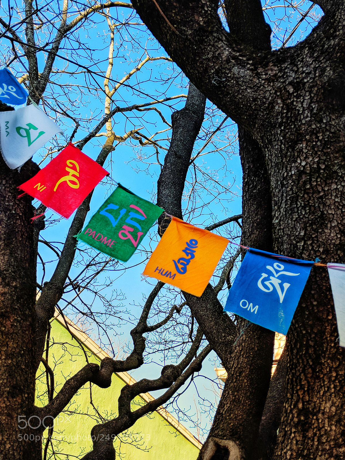 Google Pixel 2 sample photo. Morning prayer flags photography
