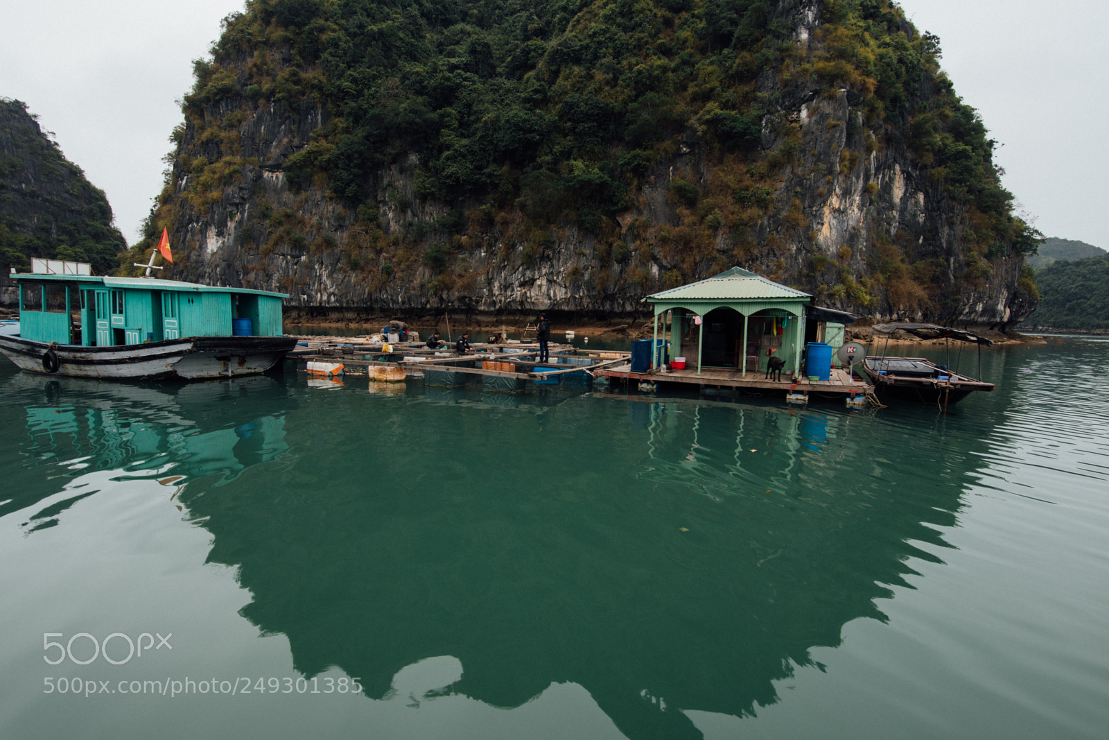 Nikon D7500 sample photo. Cat ba island lan photography