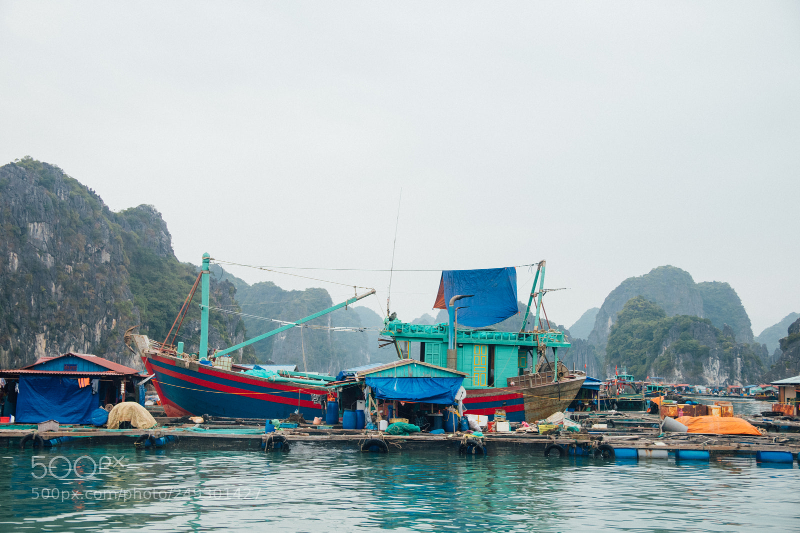 Nikon D7500 sample photo. Cat ba island lan photography